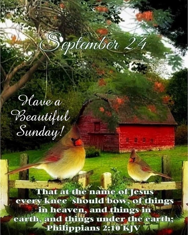 Trending September 24 Quotes Of The Day - picture 3