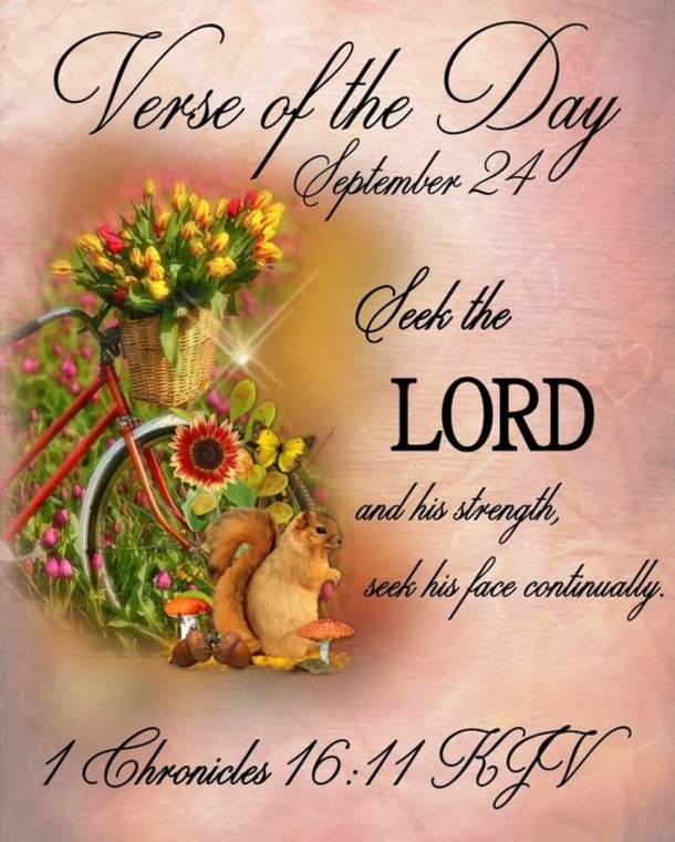 Trending September 24 Quotes Of The Day - picture 5