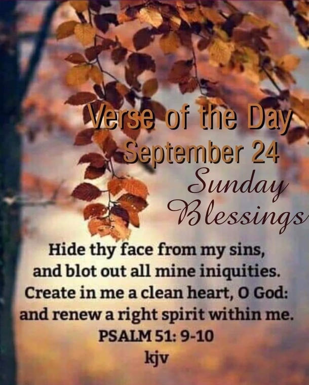 Trending September 24 Quotes Of The Day - picture 7