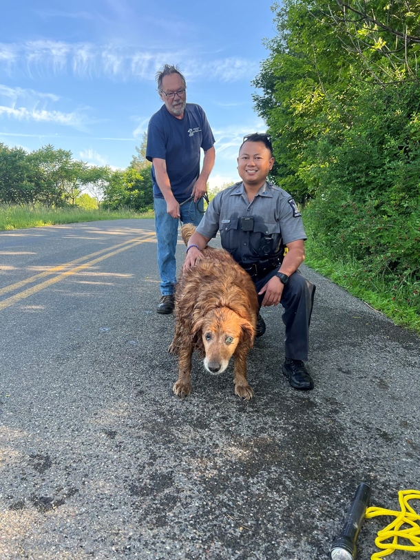 Trooper crawls through small drainage pipe to rescue missing golden retriever - picture 2