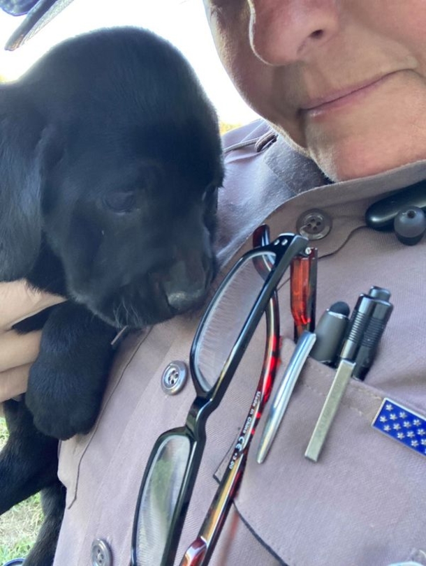 Trooper discovered three puppies, goes beyond the call of duty to find them forever homes - picture 4