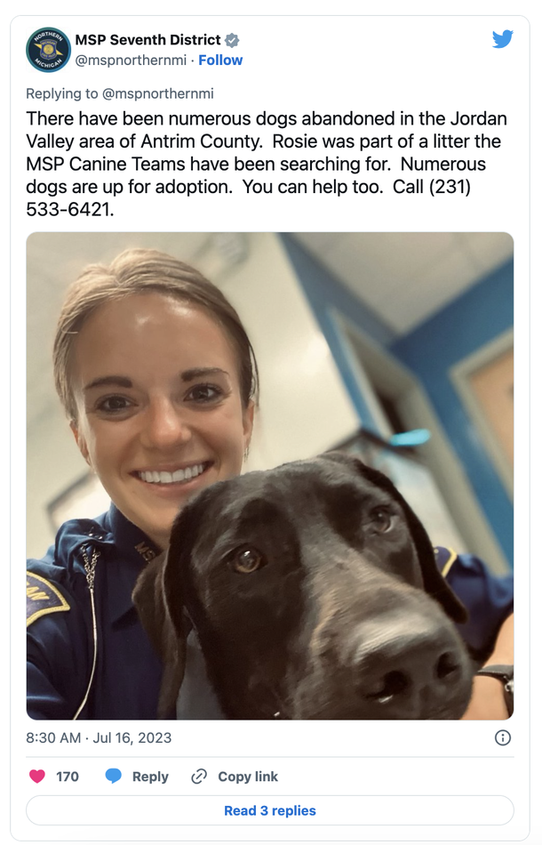 Trooper gets a call about an abandoned dog, ends up adopting him - picture 5
