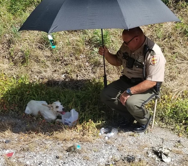 Trooper rescues dog on the side of highway from scorching heat, then gives her a home - picture 2