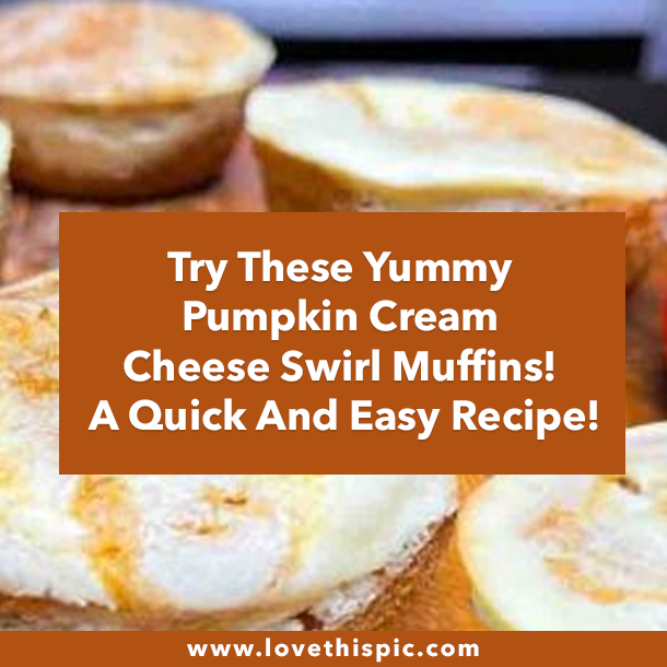 Try These Yummy Pumpkin Cream Cheese Swirl Muffins! A Quick And Easy Recipe!