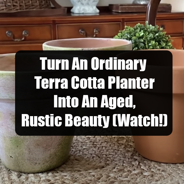 Turn An Ordinary Terra Cotta Planter Into An Aged, Rustic Beauty (Watch!)