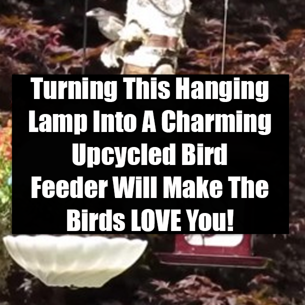 Turning This Hanging Lamp Into A Charming Upcycled Bird Feeder Will Make The Birds LOVE You!