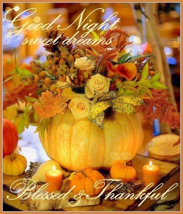 Twinkling Thanksgiving: 10 Thanksgiving Evening Quotes In 2023 To End Your Day With Thanks - picture 5