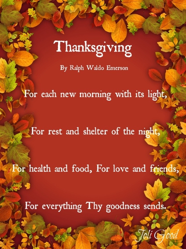 Twinkling Thanksgiving: 10 Thanksgiving Evening Quotes In 2023 To End Your Day With Thanks - picture 8