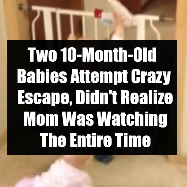 Two 10-Month-Old Babies Attempt Crazy Escape, Didn't Realize Mom Was Watching The Entire Time
