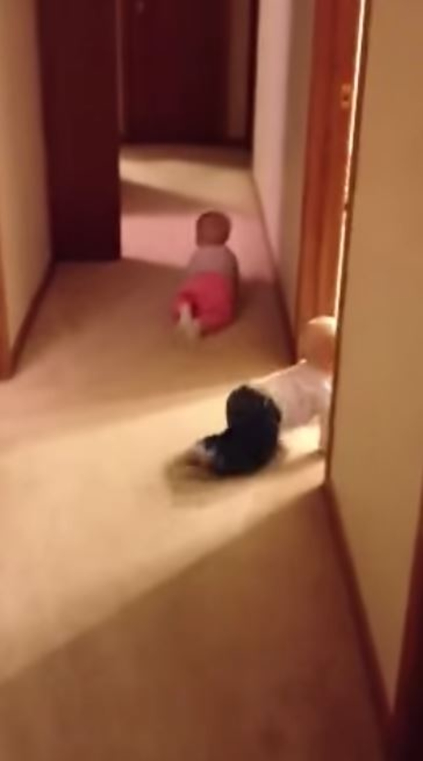 Two 10-Month-Old Babies Attempt Crazy Escape, Didn't Realize Mom Was Watching The Entire Time - picture 5