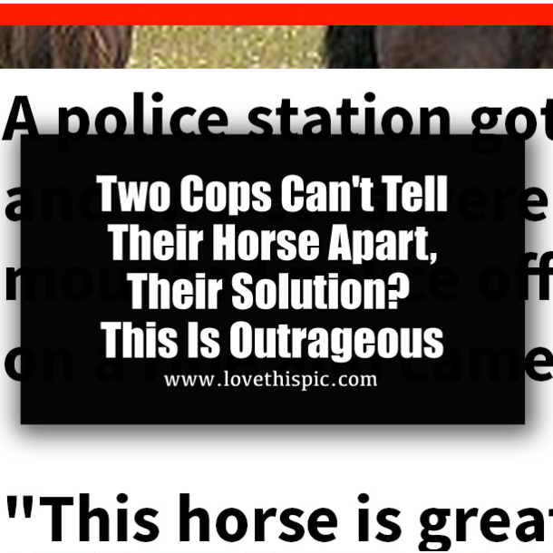 Two Cops Can't Tell Their Horse Apart, Their Solution? This Is Outrageous