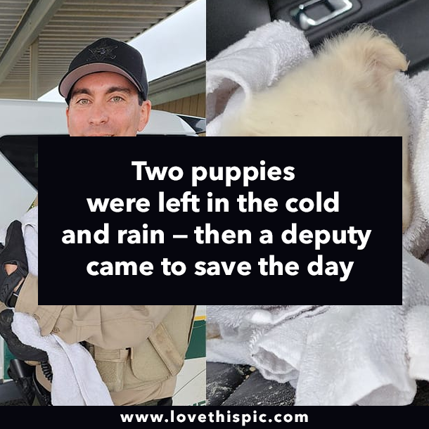 Two puppies were left in the cold and rain — then a deputy came to save the day