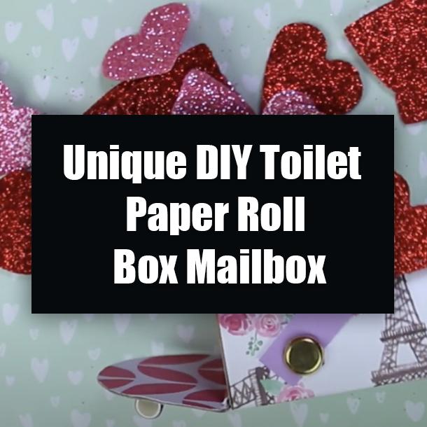 Unique DIY Toilet Paper Roll Box Mailbox