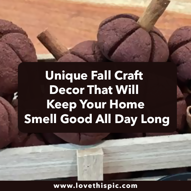 Unique Fall Craft Decor That Will Keep Your Home Smell Good All Day Long