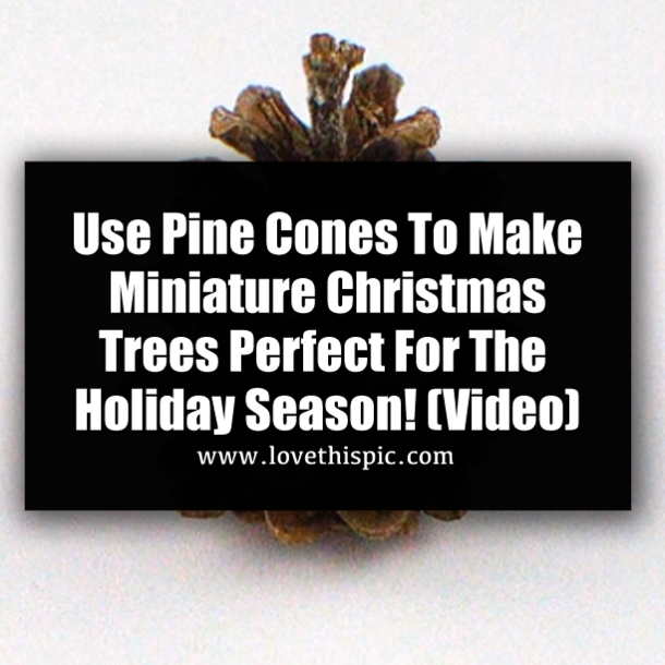 Use Pine Cones To Make Miniature Christmas Trees Perfect For The Holiday Season! (Video)