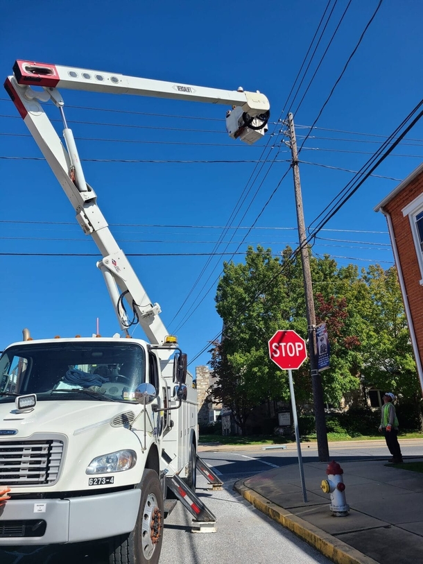 Utility Company Cuts Power To Save Cat Stranded On Top Of Telephone Pole - picture 3