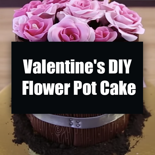 Valentine's DIY Flower Pot Cake