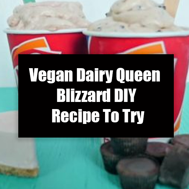 Vegan Dairy Queen Blizzard DIY Recipe To Try