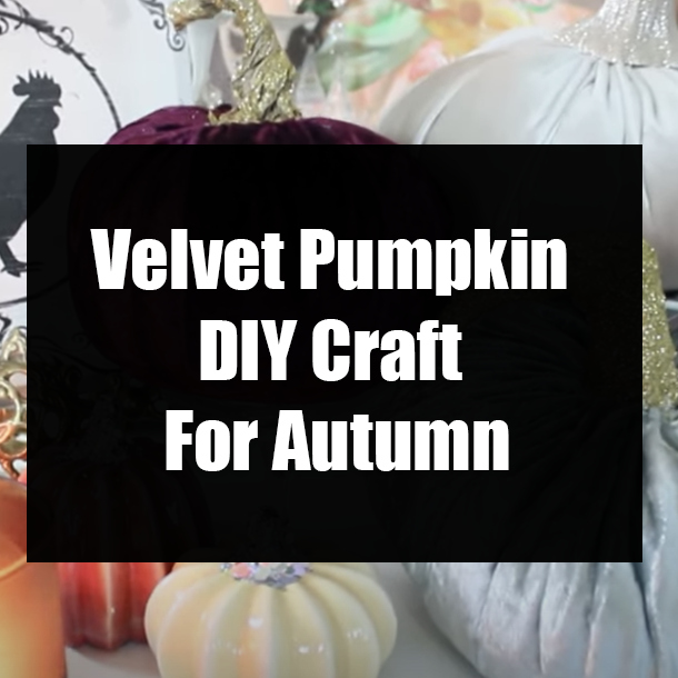 Velvet Pumpkin DIY Craft For Autumn