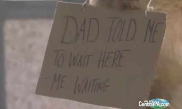 Very Lonely Dog Sits Outside Target With Sign Around His Neck — Then People Get Closer To Read It - picture 3