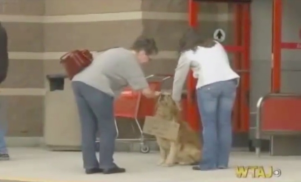 Very Lonely Dog Sits Outside Target With Sign Around His Neck — Then People Get Closer To Read It - picture 5
