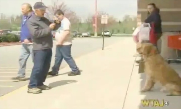 Very Lonely Dog Sits Outside Target With Sign Around His Neck — Then People Get Closer To Read It - picture 6