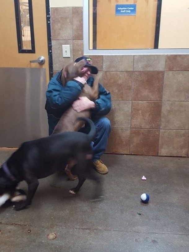 Veteran Walks In Pet Store, Reduced To Tears After What Employee Said To Him - picture 3