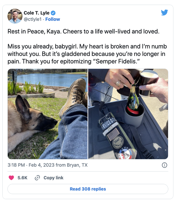 Veteran’s loyal service dog gets a Major send-off on her final flight home, rest in peace - picture 5