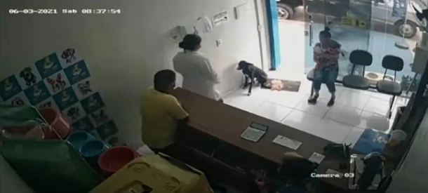Veterinary Miracle: Injured Stray Dog Finds It's Way To Clinic Seeking Aid - picture 3