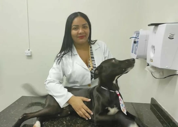 Veterinary Miracle: Injured Stray Dog Finds It's Way To Clinic Seeking Aid - picture 5