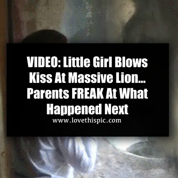 VIDEO: Little Girl Blows Kiss At Massive Lion… Parents FREAK At What Happened Next