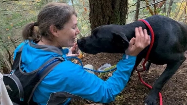 Volunteers found and saved missing dog who fell off cliff, reunite her with owner - picture 3