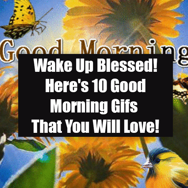 Wake Up Blessed! Here's 10 Good Morning Gifs That You Will Love!