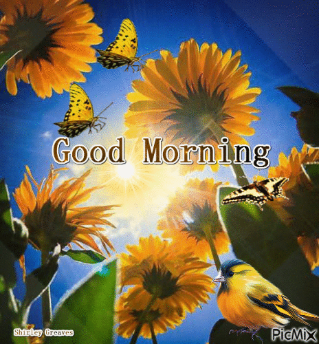 Wake Up Blessed! Here's 10 Good Morning Gifs That You Will Love! - picture 12