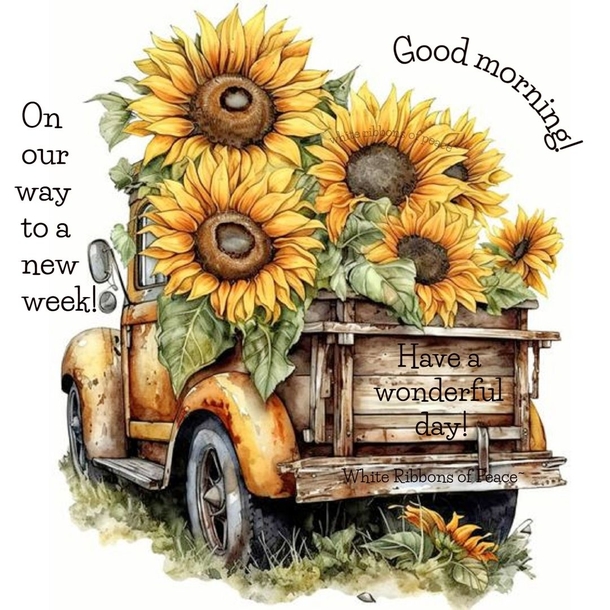 Wake Up Inspired: Good Morning Quotes to Brighten Your Day - picture 4