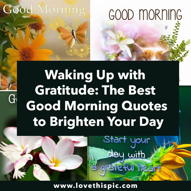 Waking Up with Gratitude: The Best Good Morning Quotes to Brighten Your Day