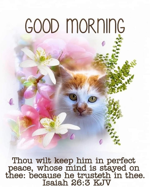Waking Up with Gratitude: The Best Good Morning Quotes to Brighten Your Day - picture 5