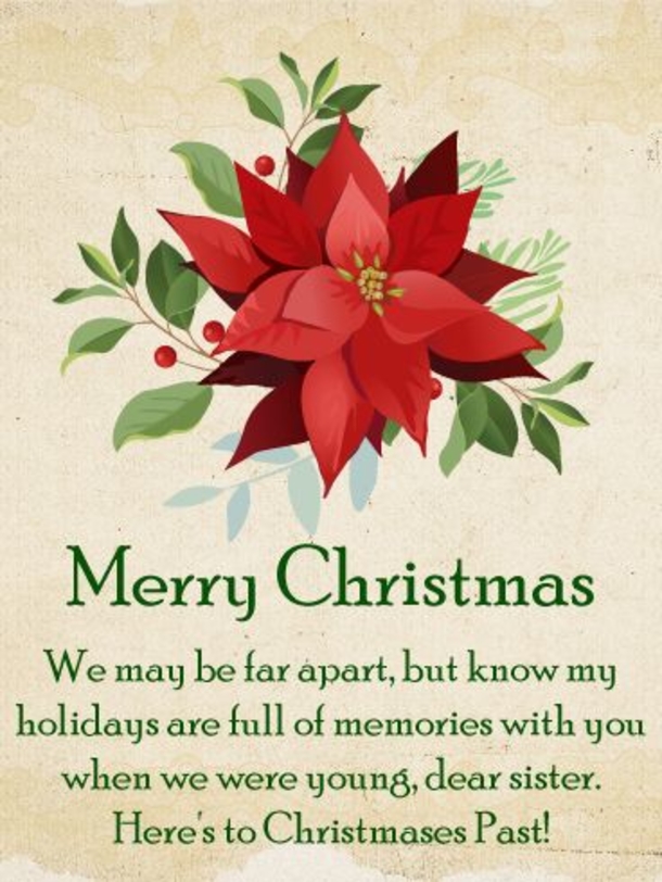 Warm Wishes for Her: 10 Merry Christmas Quotes In 2023 To Share With Your Sister - picture 6