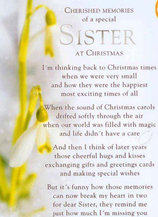 Warm Wishes for Her: 10 Merry Christmas Quotes In 2023 To Share With Your Sister - picture 8
