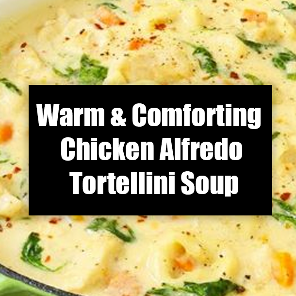 Warm & Comforting Chicken Alfredo Tortellini Soup