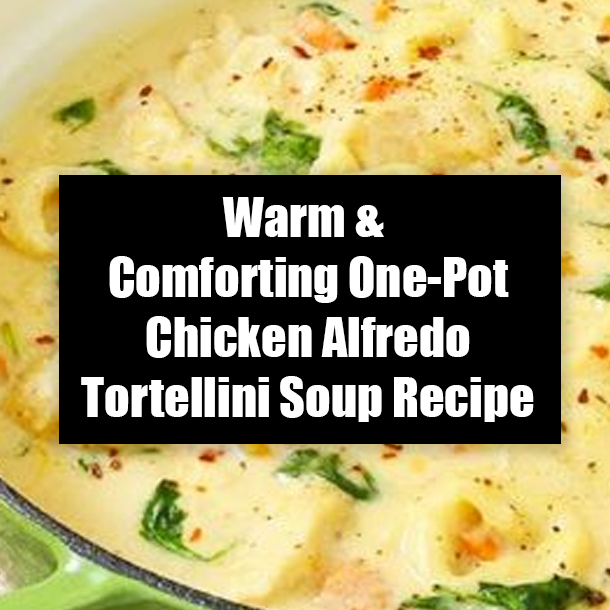 Warm & Comforting One-Pot Chicken Alfredo Tortellini Soup Recipe