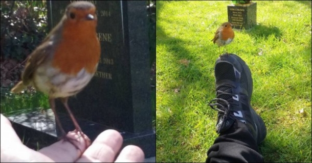 WATCH: Mom Records Video At Son’s Grave, SHOCKED By What Else It Caught - picture 3