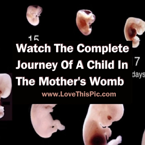 Watch The Complete Journey Of A Child In The Mother's Womb. This Is Amazing!