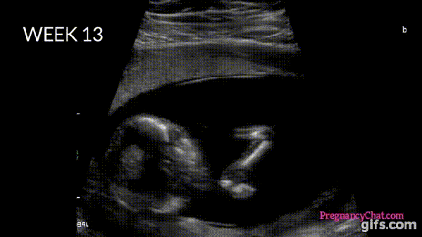 Watch The Complete Journey Of A Child In The Mother's Womb. This Is Amazing! - picture 5