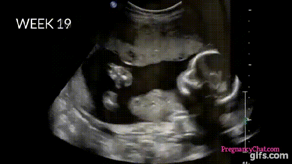 Watch The Complete Journey Of A Child In The Mother's Womb. This Is Amazing! - picture 6