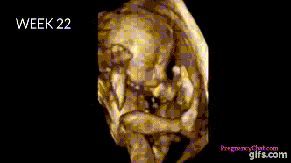 Watch The Complete Journey Of A Child In The Mother's Womb. This Is Amazing! - picture 7