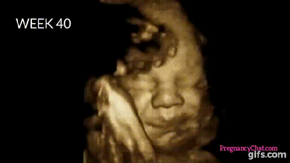 Watch The Complete Journey Of A Child In The Mother's Womb. This Is Amazing! - picture 8