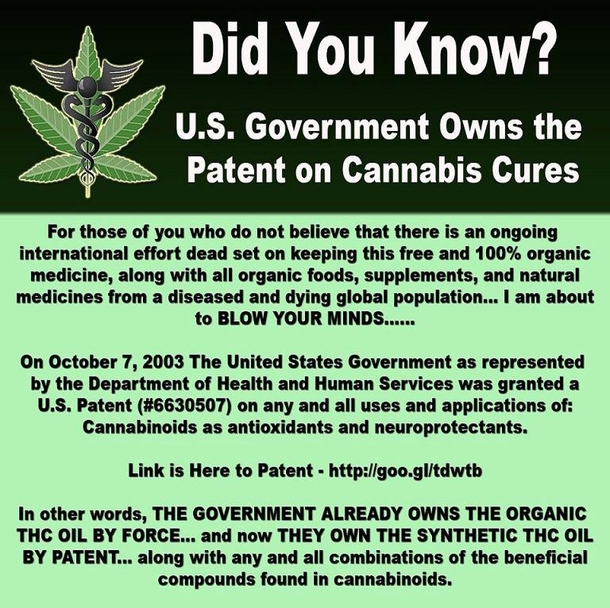 Watch This To See What Happens When Cannabis Is Injected Into Cancer Cells. This Is Amazing! - picture 2