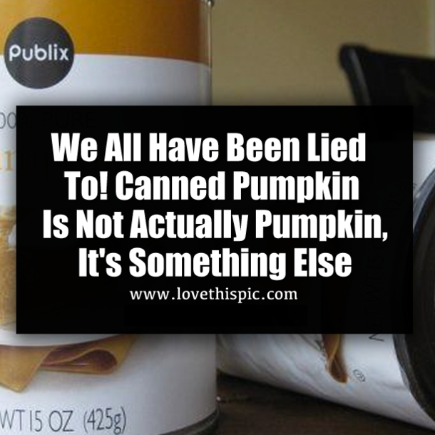 We All Have Been Lied To! Canned Pumpkin Is Not Actually Pumpkin, It's Something Else