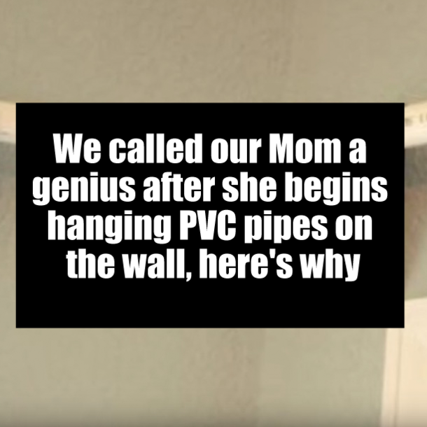 We called our Mom a genius after she begins hanging PVC pipes on the wall, here's why